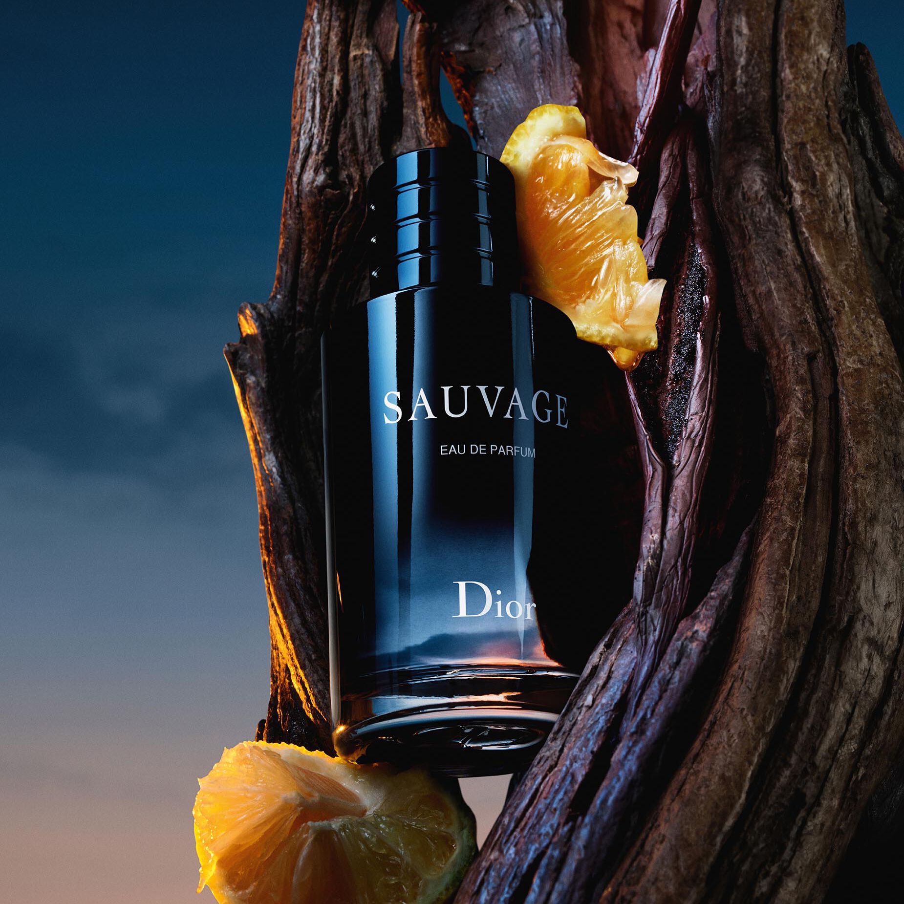 Dior Sauvage Eau de Parfum