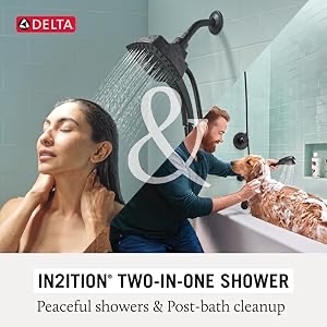 Delta In2ition 2-in-1 Dual Shower Head (75494)