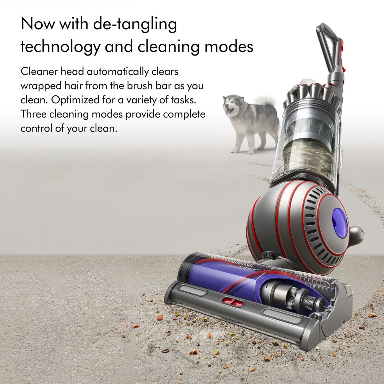 Dyson Ball Animal 3 Extra